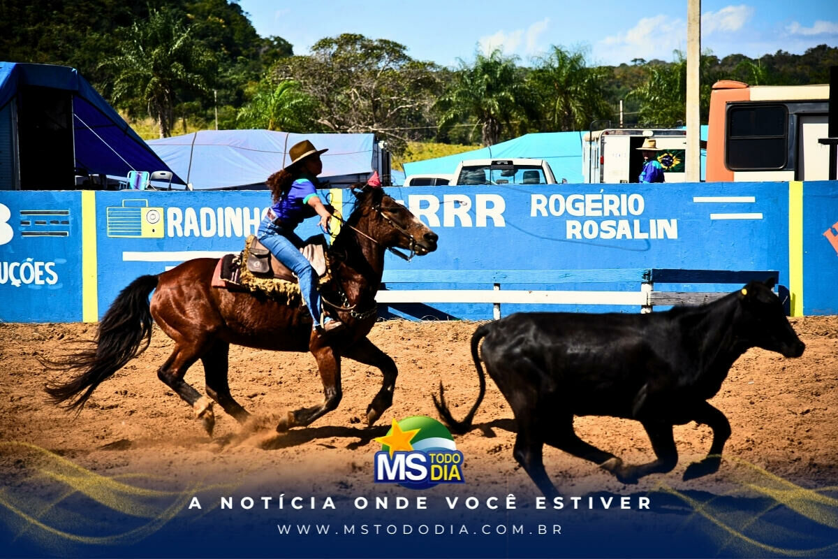Imagem da Galeria